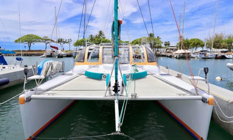 Front view of the catamaran "Seascape" docked at a marina. The boat features a wide deck with a netted center area, a sleek cabin with large windows, and vibrant trim colors. The scene includes calm waters, nearby boats, and lush green trees under a partly cloudy sky.